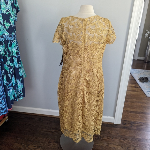 nischelle Dresses & Skirts - NEW Womens Nischelle Gold Lace Shift Dress 16 Style 2665